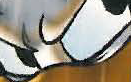 Avatar utente