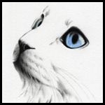 Avatar utente